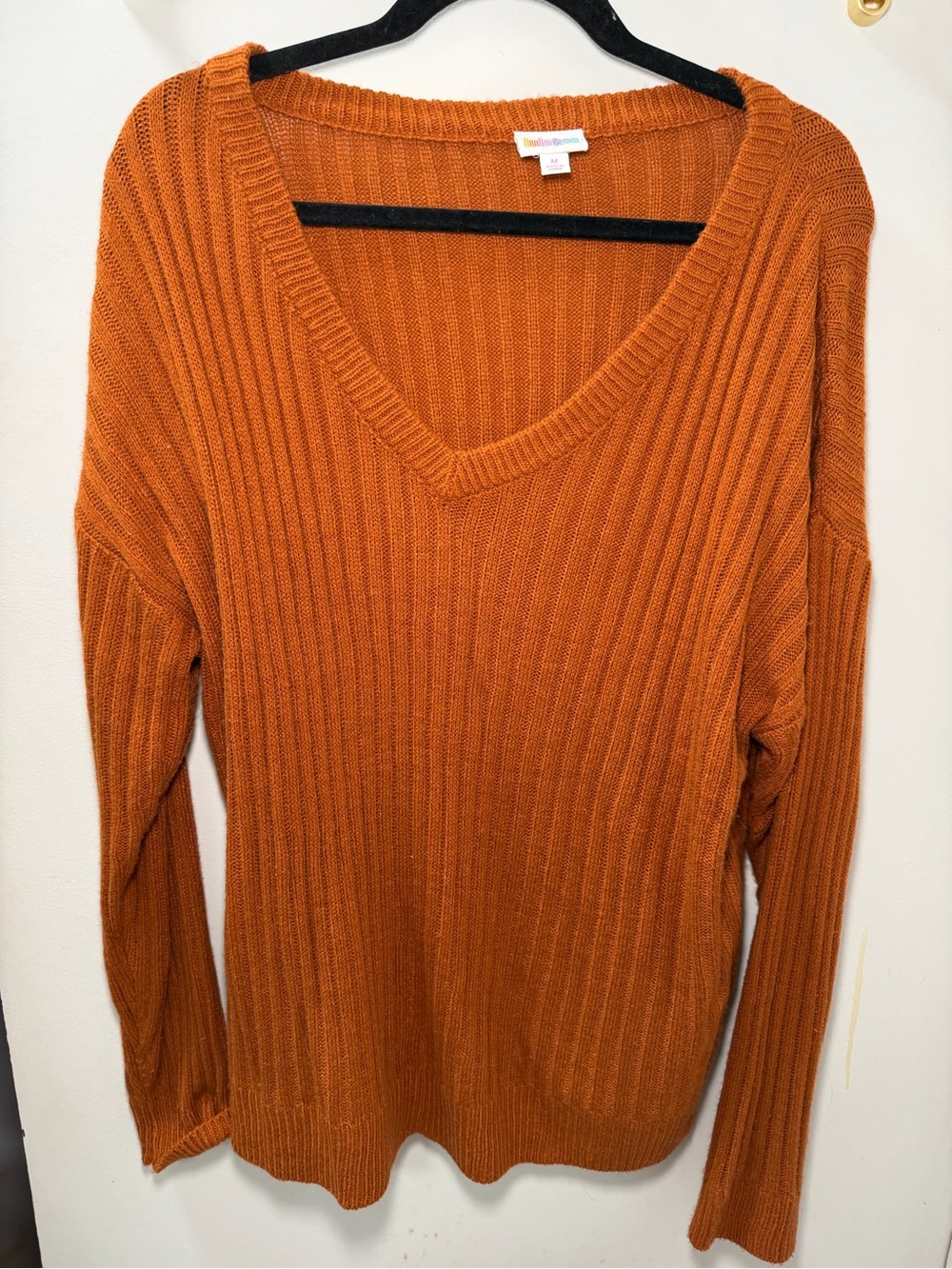 Ribbed V-Neck Sweater in Rust Orange